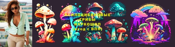 стафф Алексин