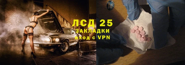 гидра Новозыбков