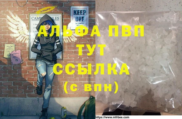 стафф Алексин