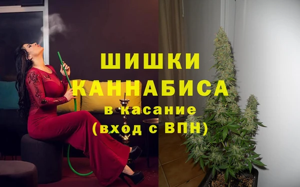 гашик Новокубанск