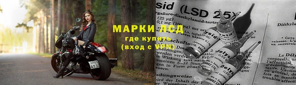 стафф Алексин